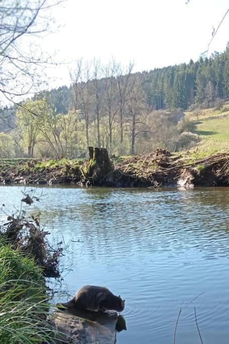 Ferienglueck Im Schwarzwald Apartment Zimmern ob Rottweil Ngoại thất bức ảnh